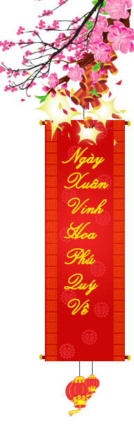 Banner Noel phải