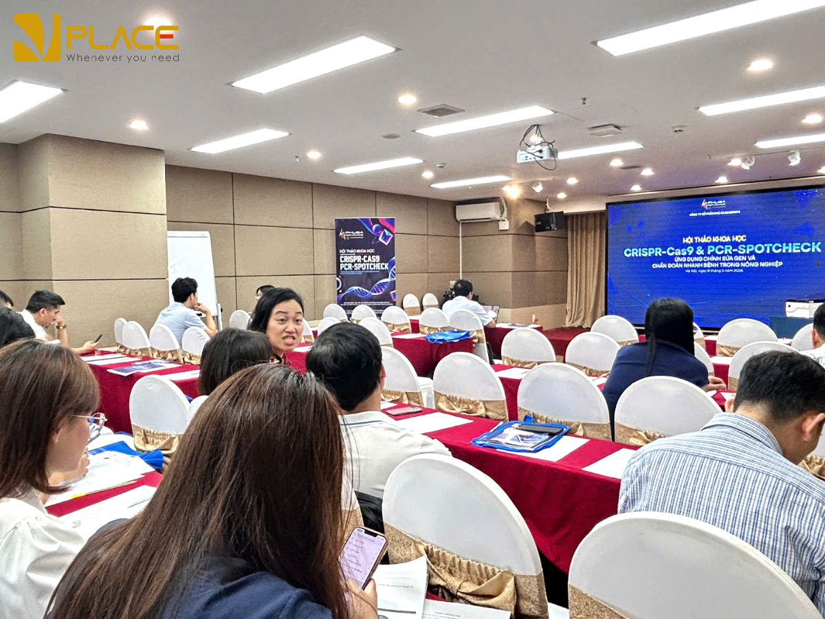 Tổ chức sự kiện Hybrid: Giải pháp kết hợp trực tiếp và trực tuyến hiệu quả 2 Hoi thao khoa hoc 8